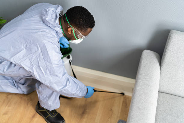 Emergency Pest Control Services in Seville, FL